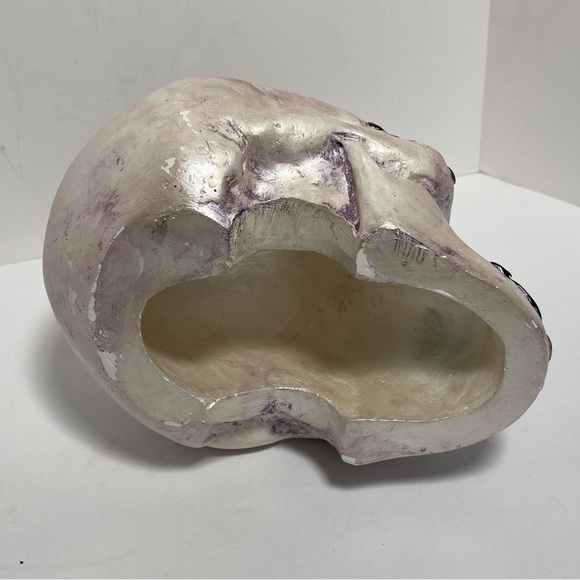 Sugar skull day of the dead decor skeleton head oddity oddities Halloween decor - Picture 7 of 9